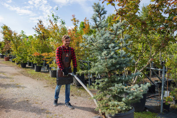 Best Professional Tree Care  in Washburn, ND